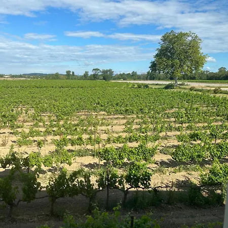 Le Pressoir Ferienhaus Narbonne